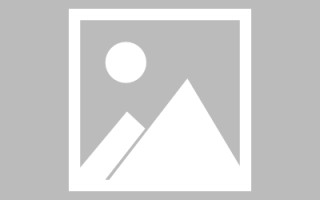 贵港新区景区网站建设（in art criticism,you must assume）